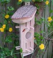 Butterfly Habitat